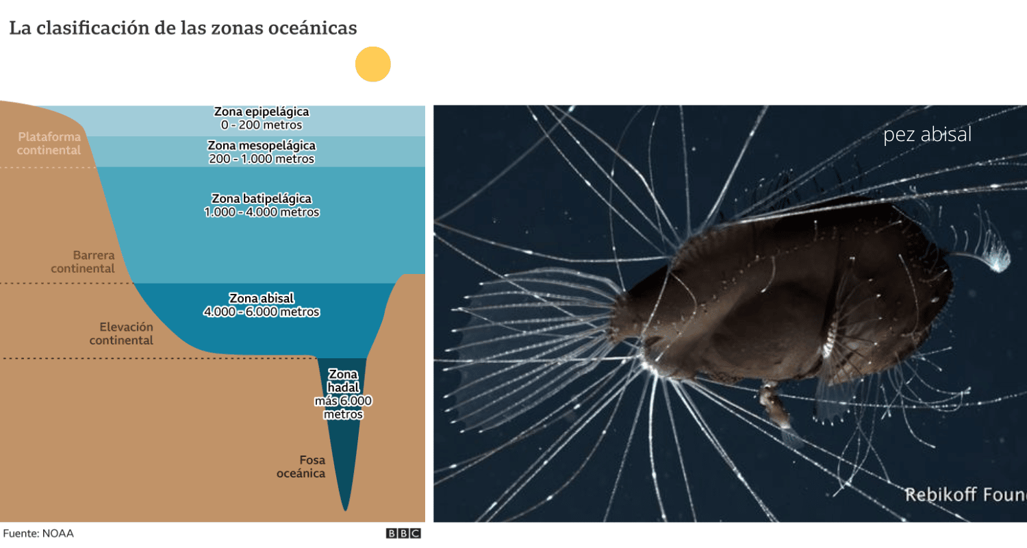 El Poder del Conocimiento: las profundidades abisales – www.webdealta.info, image size:1500x800
